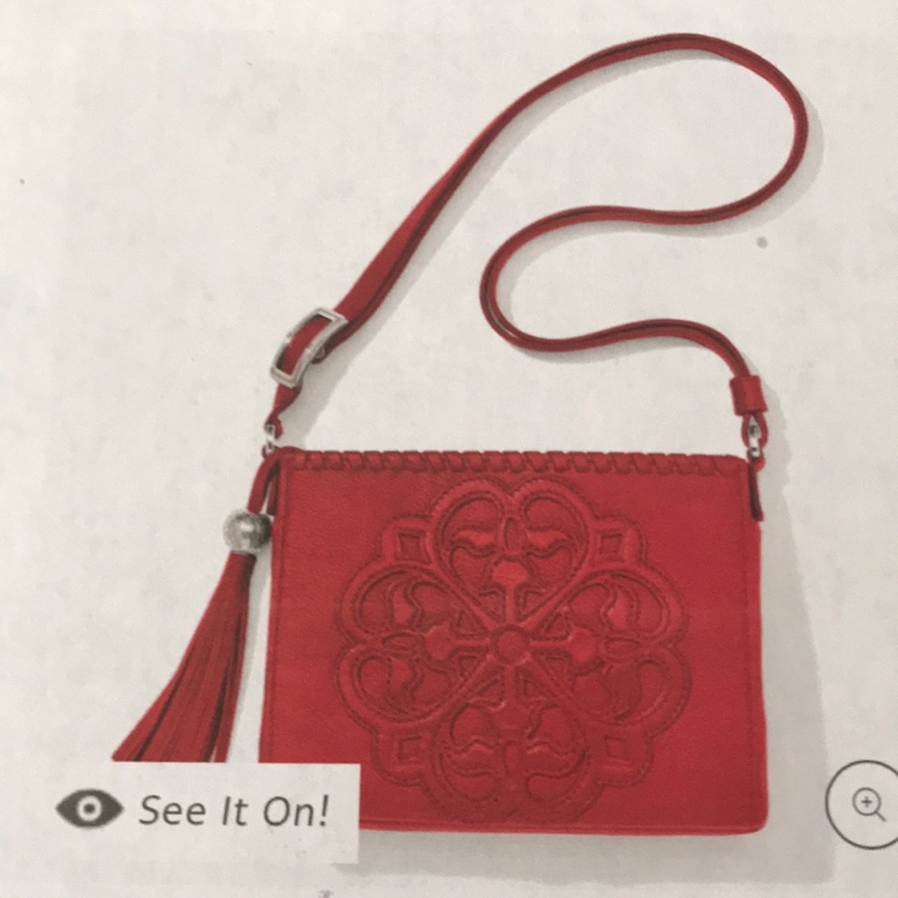 BRIGHTON - FERRARA CITY ORGANIZER